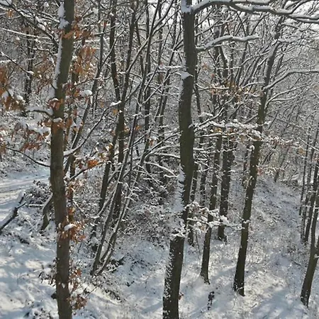 Appartement Toelgyerdo