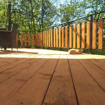 Toelgyerdo Apartament *